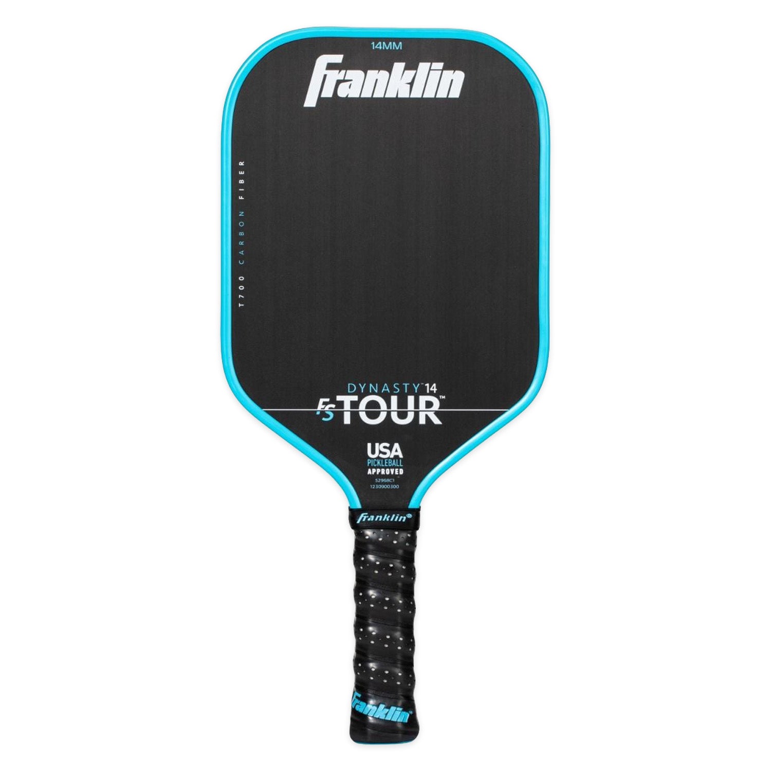 FS Tour Dynasty